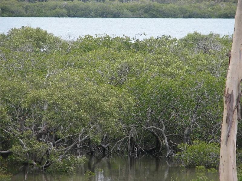 Agnes Water QLD 4677