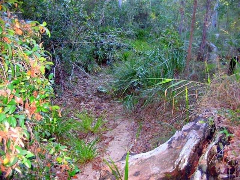 Captain Creek QLD 4677