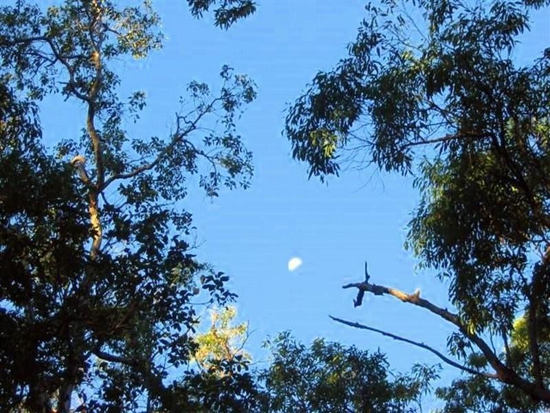 Captain Creek QLD 4677