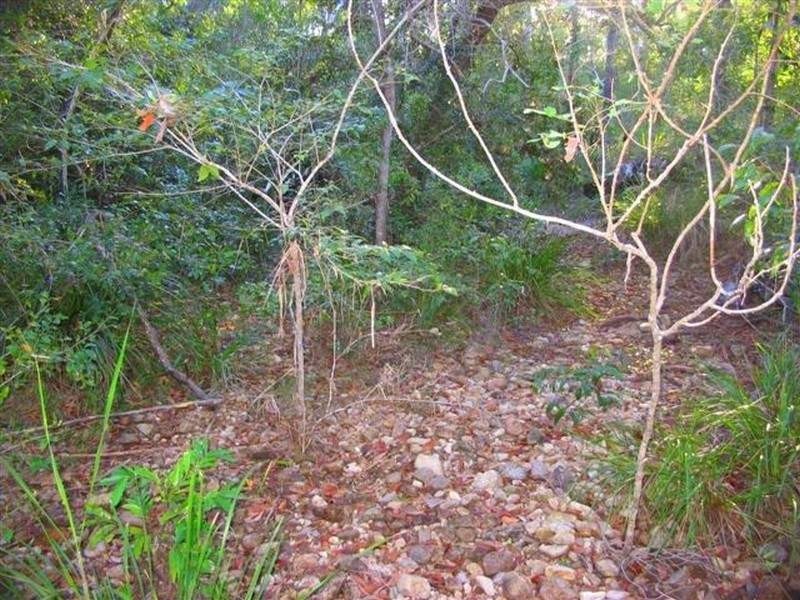 Captain Creek QLD 4677