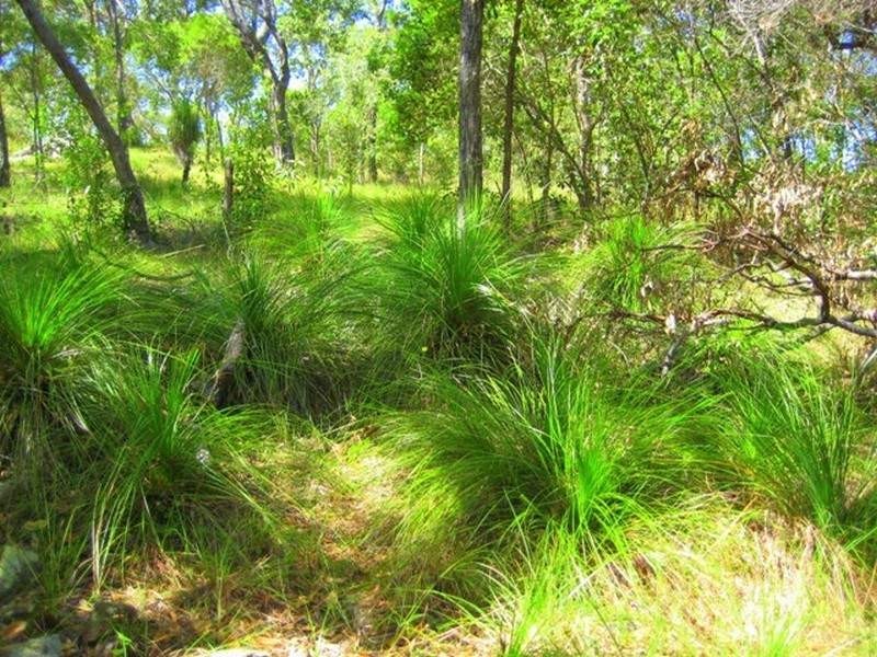 Agnes Water QLD 4677