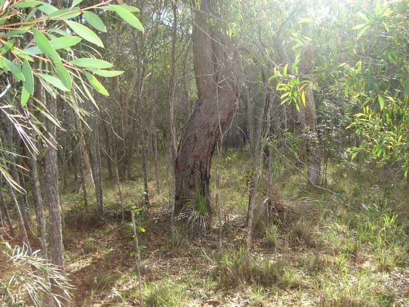 Agnes Water QLD 4677