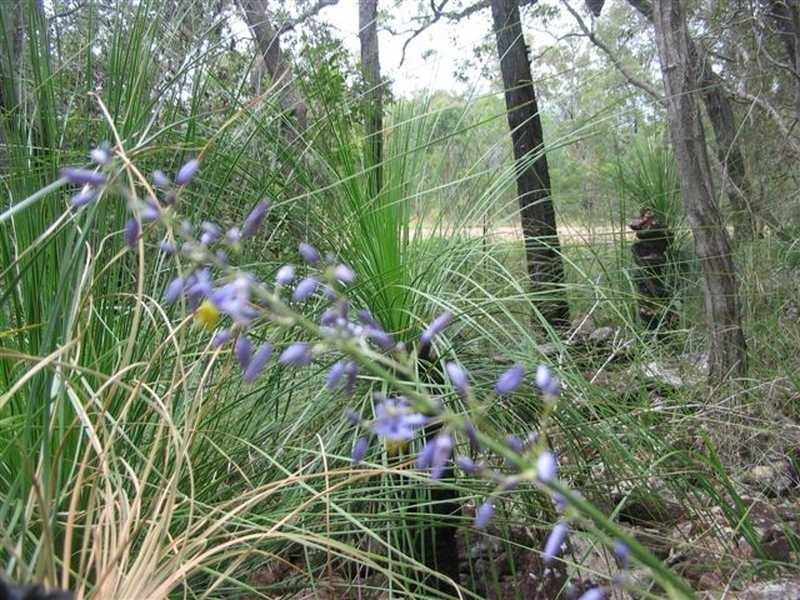 Captain Creek QLD 4677