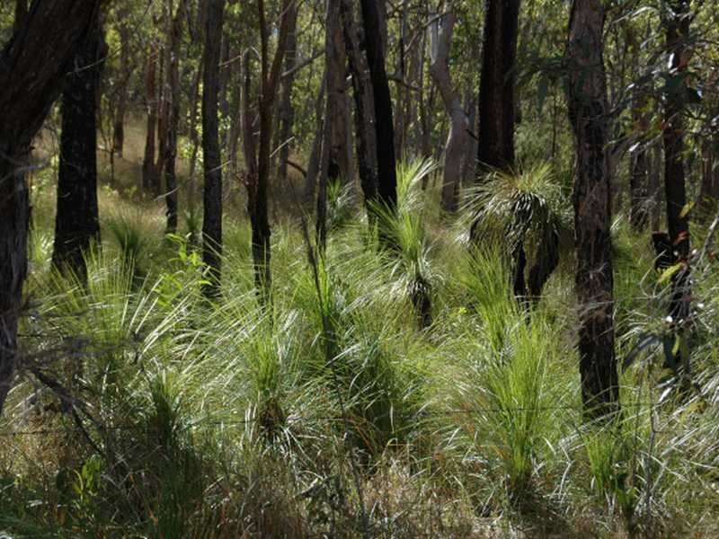 Captain Creek QLD 4677