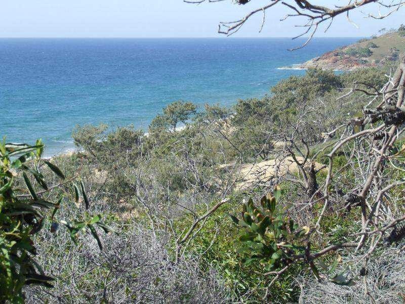 95 Springs, Agnes Water QLD 4677