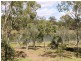 48717 Bruce Highway, Benaraby QLD 4680