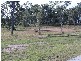 Lot 62 Baruby Boulevard, Benaraby QLD 4680