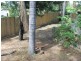 21 Winnecke Road, Tannum Sands QLD 4680