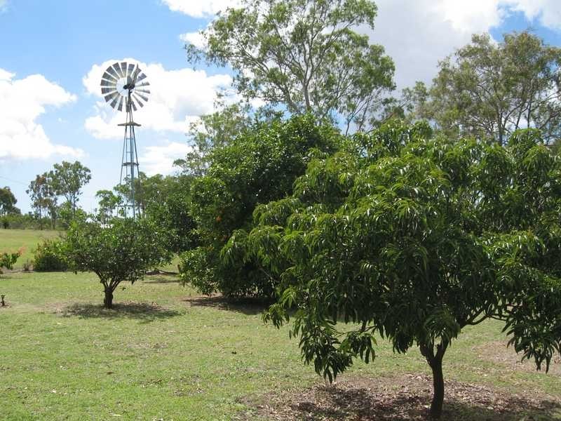 58 Bells Road, Turkey Beach QLD 4678
