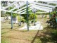 68 Broadacres Drive, Tannum Sands QLD 4680