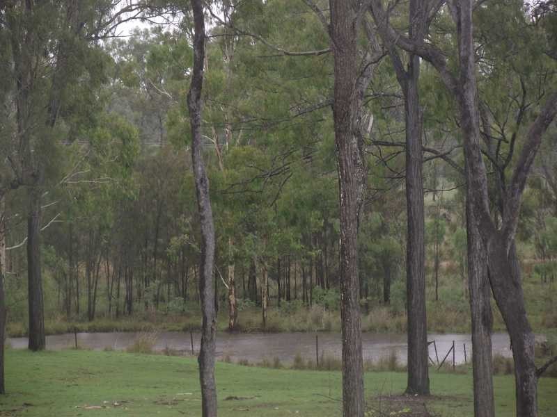 386 Intrepid Drive, Foreshores QLD 4678