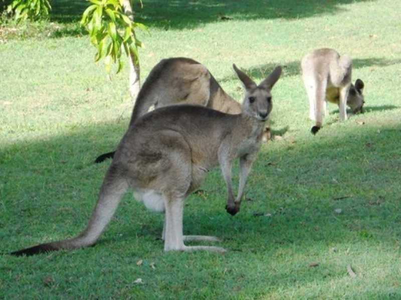 30 Bills Road, Agnes Water QLD 4677