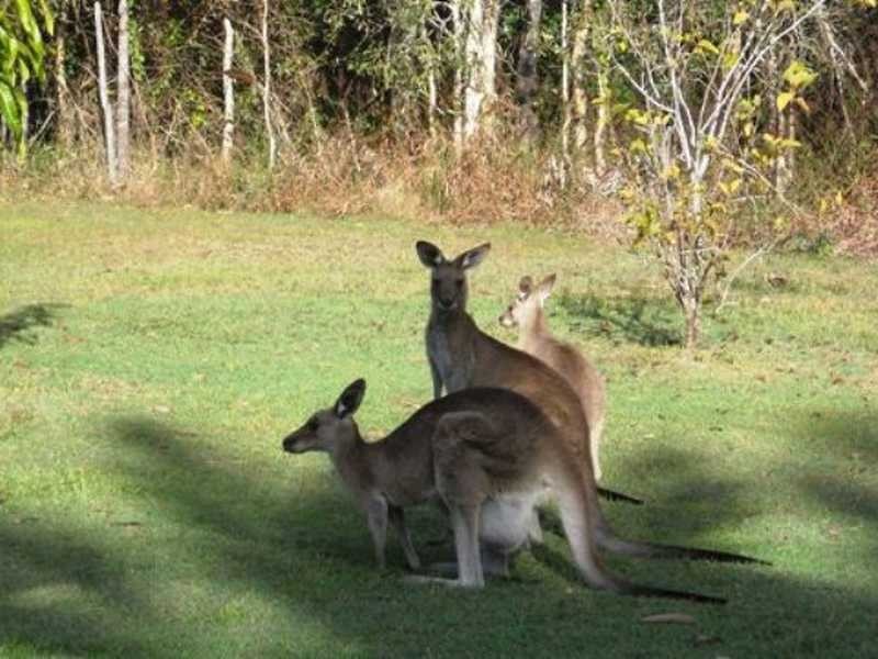 30 Bills Road, Agnes Water QLD 4677