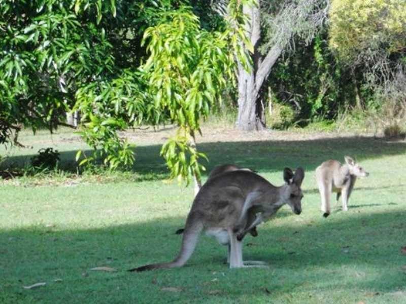 30 Bills Road, Agnes Water QLD 4677