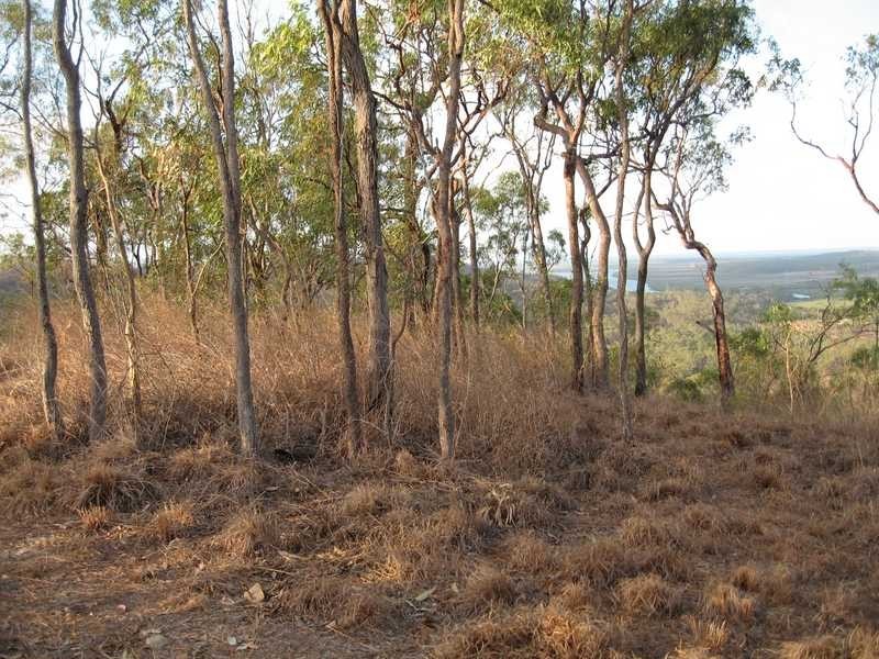 Lot 1 Unnamed Road, Wurdong Heights QLD 4680