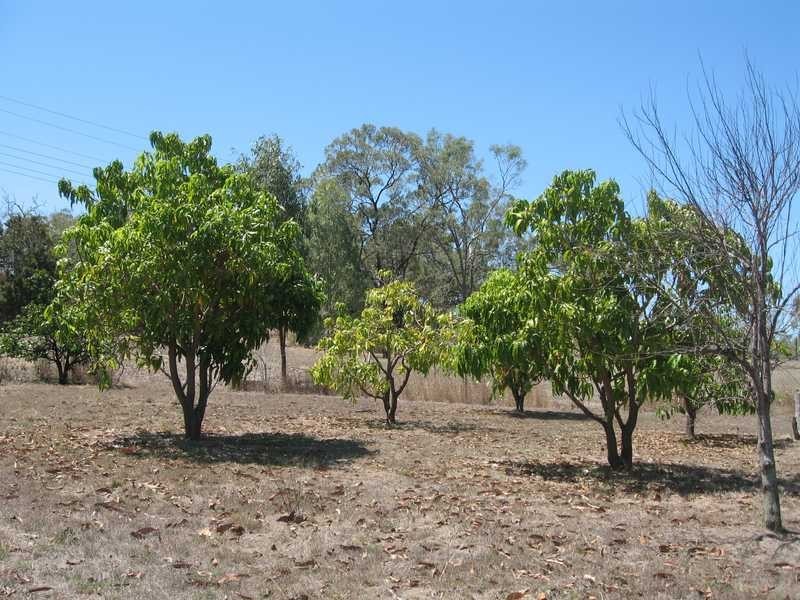 58 Bells Road, Turkey Beach QLD 4678