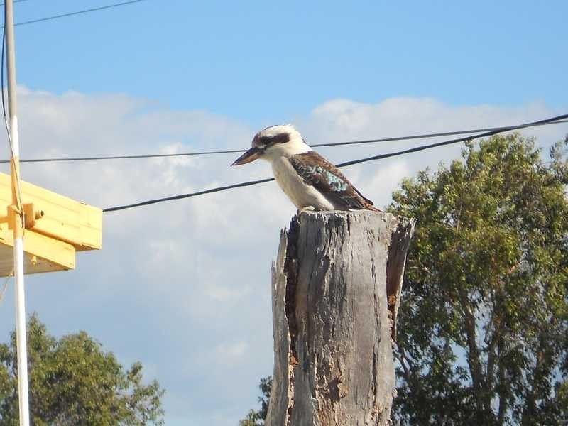 34 Booth Avenue, Tannum Sands QLD 4680