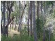 34A Coral Street, Turkey Beach QLD 4678