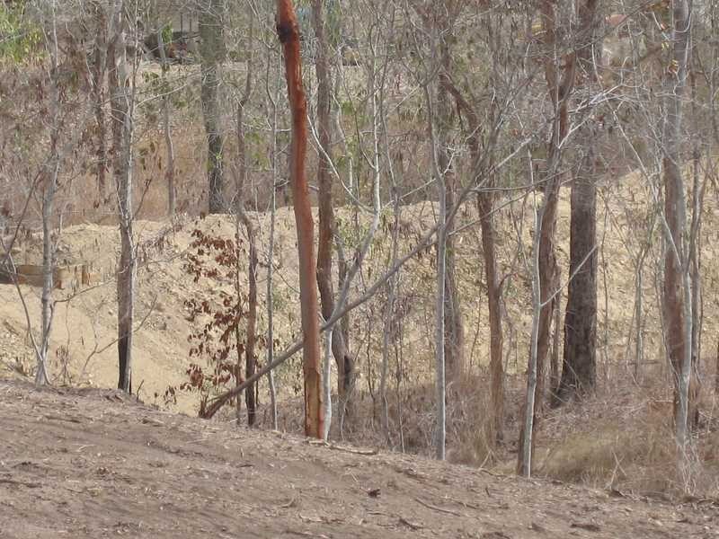 139 Yalkarra Court, Wurdong Heights QLD 4680