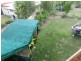 6 Helena Court, Boyne Island QLD 4680