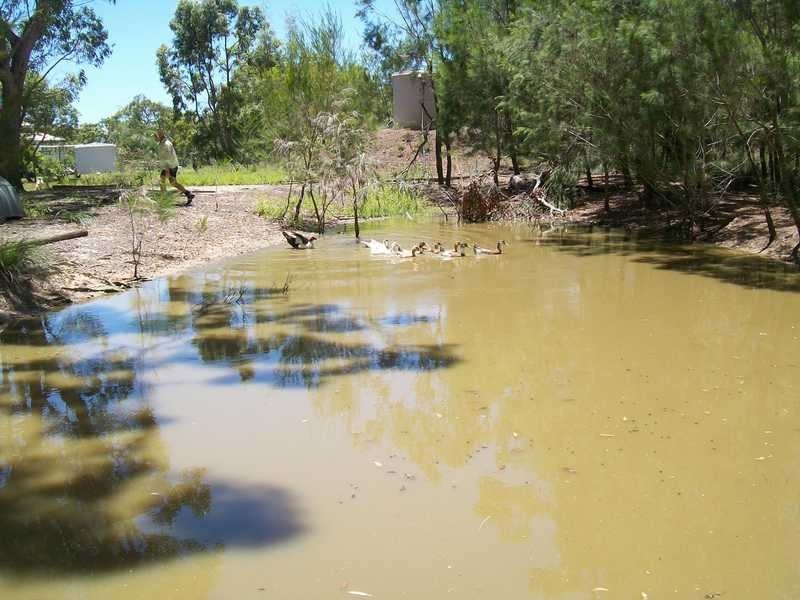 457 Deepwater Road, Deepwater QLD 4674
