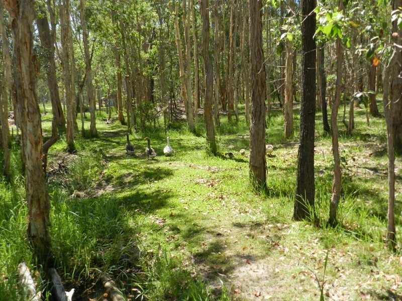 68 Broadacres Drive, Tannum Sands QLD 4680