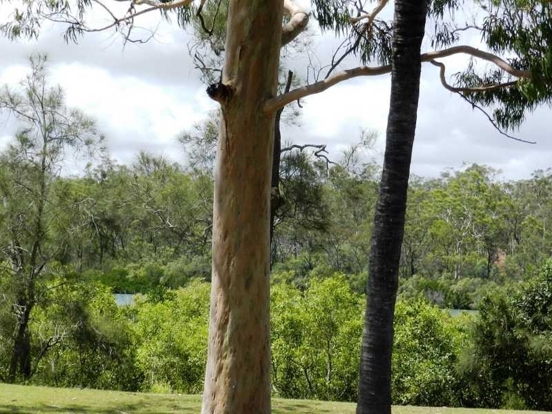 43 Tarcoola Drive, Boyne Island QLD 4680