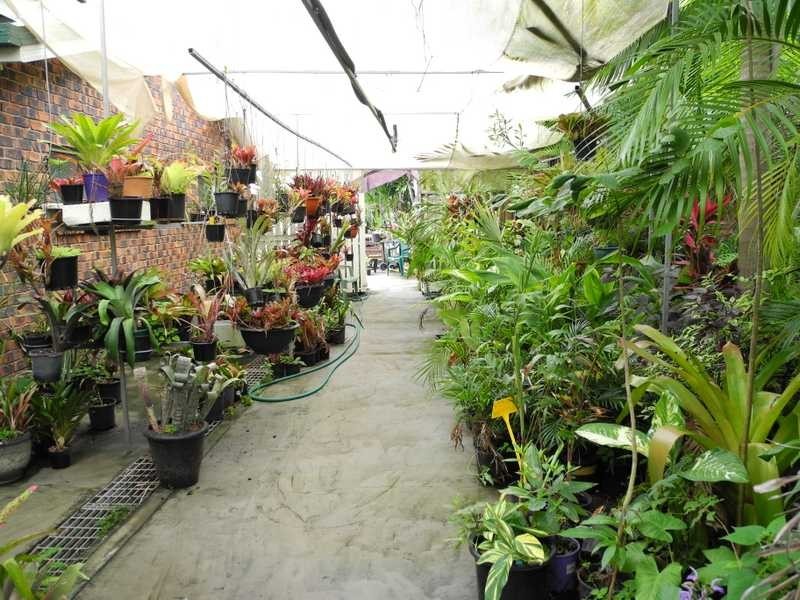 16 Selma Court, Tannum Sands QLD 4680