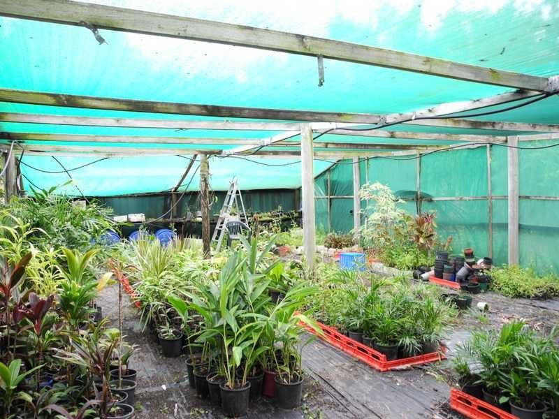 16 Selma Court, Tannum Sands QLD 4680