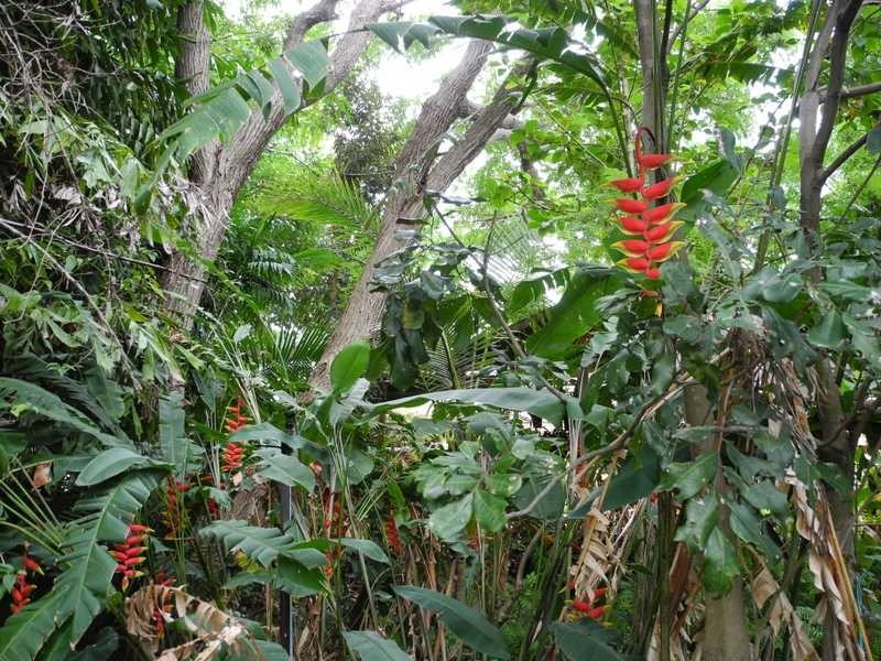 16 Selma Court, Tannum Sands QLD 4680