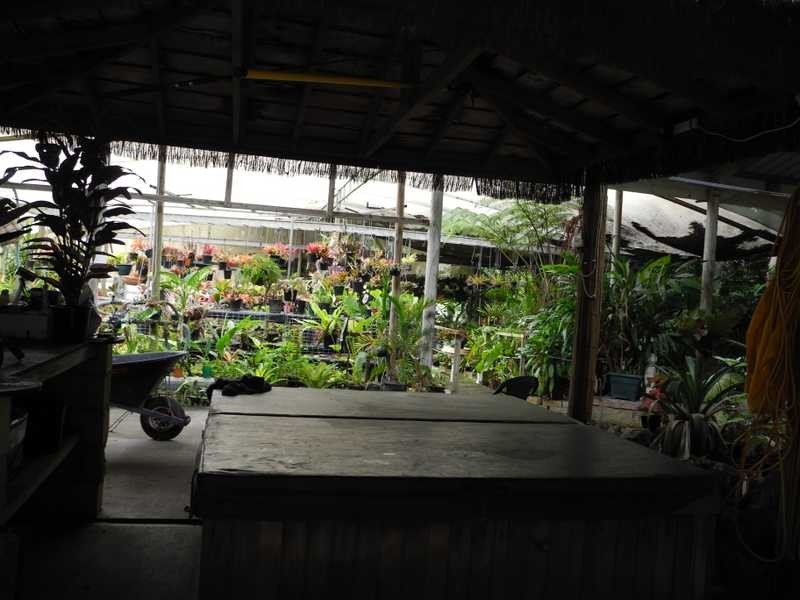 16 Selma Court, Tannum Sands QLD 4680