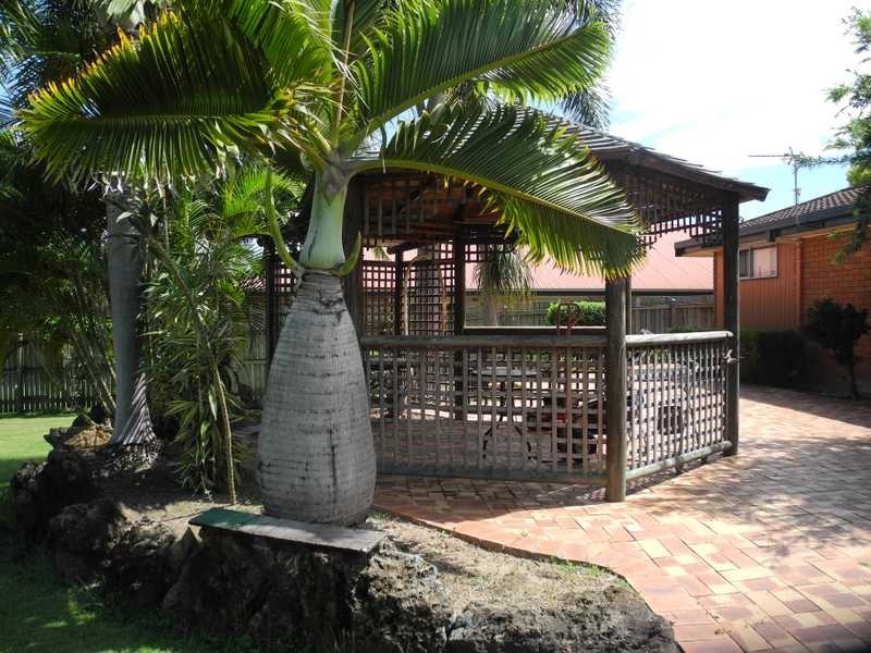 5 Dunn Street, Tannum Sands QLD 4680