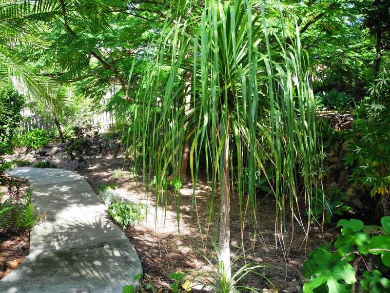 11 Gwen Street, Tannum Sands QLD 4680