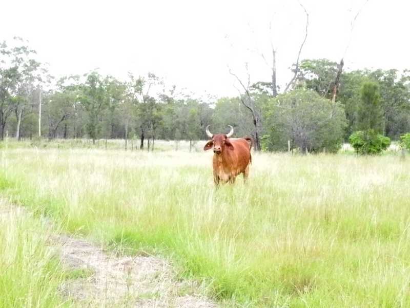 311 Intrepid Drive, Foreshores QLD 4678