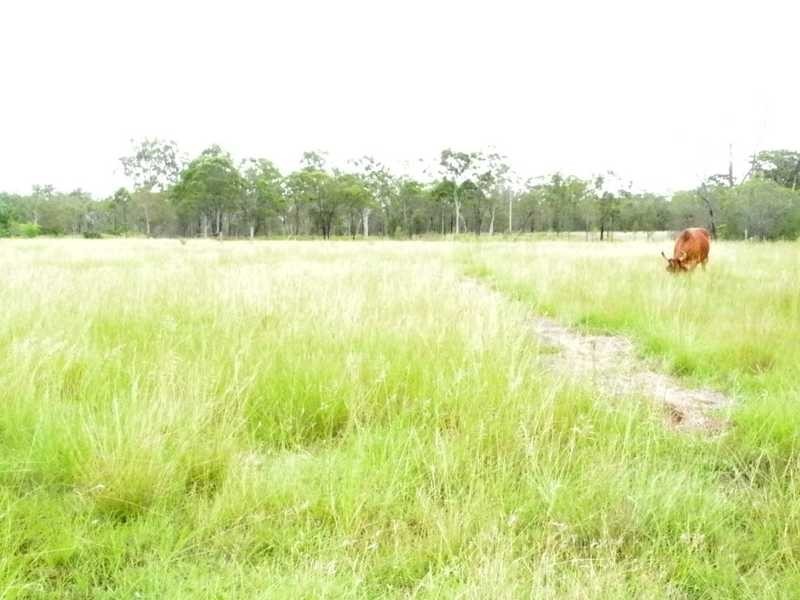 311 Intrepid Drive, Foreshores QLD 4678