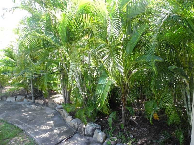 13 Yukana Street, Boyne Island QLD 4680