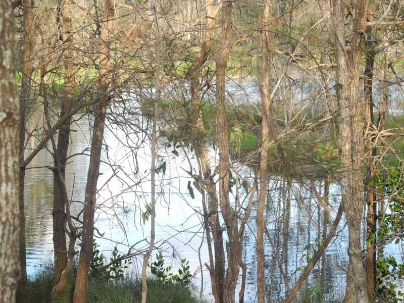 354 Intrepid Drive, Foreshores QLD 4678