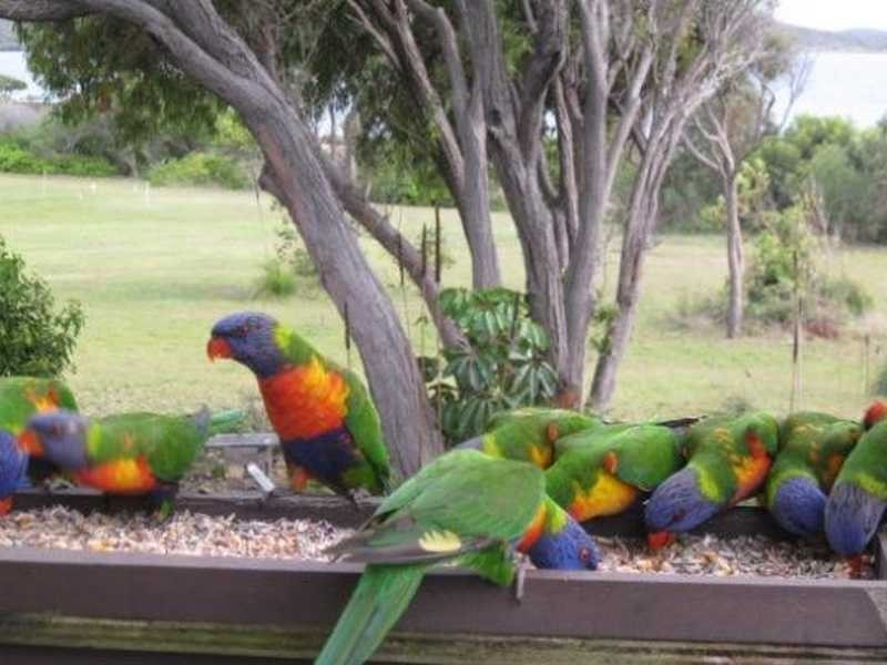 Lot 49 Quoin Island Street, Gladstone QLD 4680