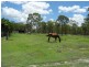 133 Cawthrays Road, Miriam Vale QLD 4677