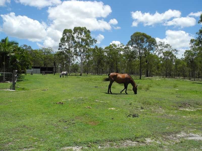 133 Cawthrays Road, Miriam Vale QLD 4677