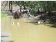 457 Deepwater Road, Deepwater QLD 4674