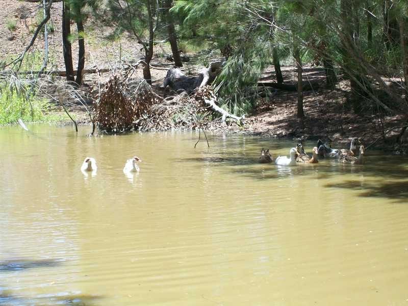 457 Deepwater Road, Deepwater QLD 4674