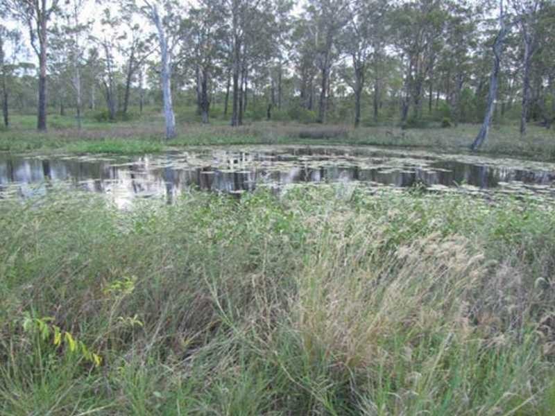 Lot 53821 Bruce Highway, Mount Larcom QLD 4695