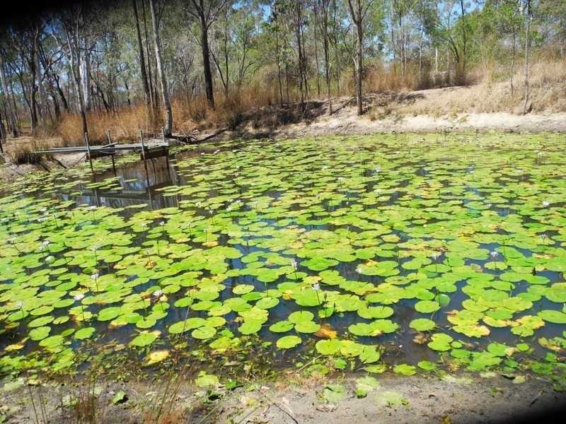 59 Boyne Island Road, Boyne Island QLD 4680