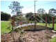 34 Dedekind Avenue, Benaraby QLD 4680
