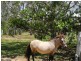 223 Bells Road, Rodds Bay QLD 4678