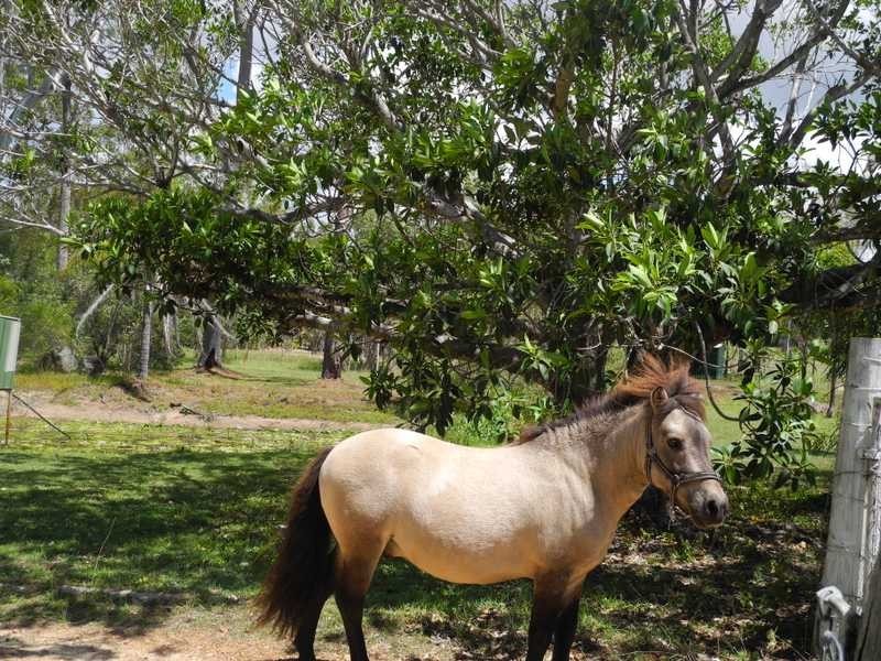 223 Bells Road, Rodds Bay QLD 4678
