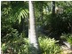 6 Kirrang Place, Boyne Island QLD 4680