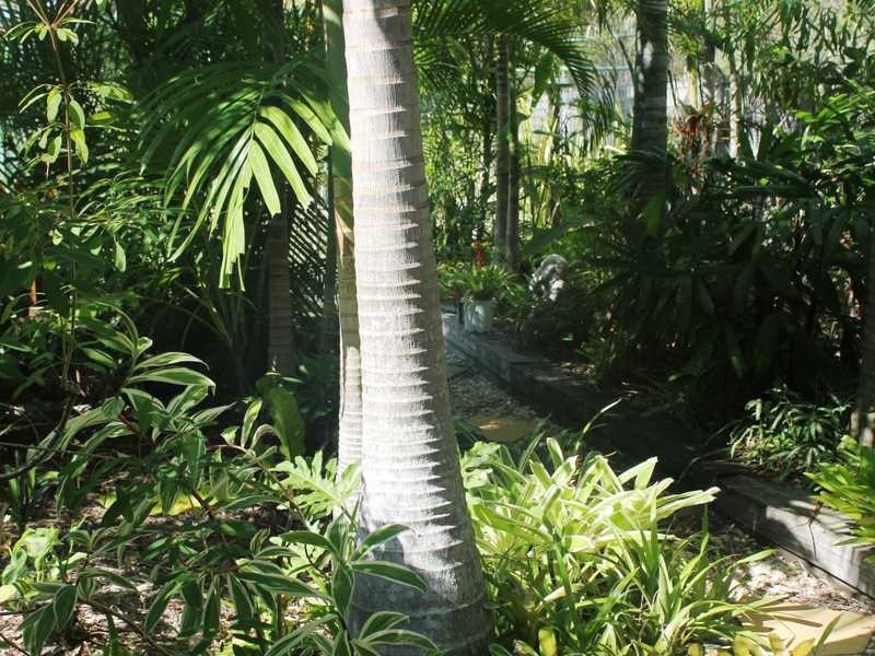 6 Kirrang Place, Boyne Island QLD 4680