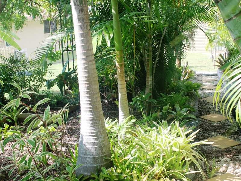 6 Kirrang Place, Boyne Island QLD 4680